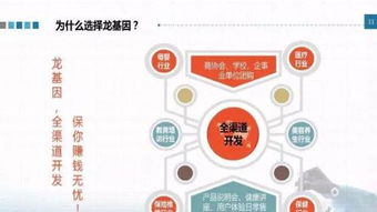 龍基因加盟 實體店培訓成就火爆加盟店，教育信息咨詢助力創業成功
